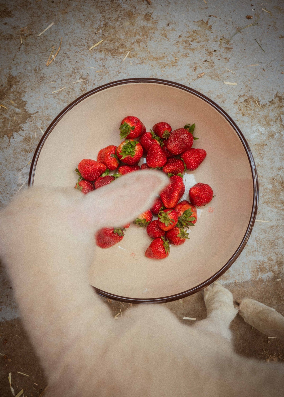 Product Image 11 - Farmer Protein Powder