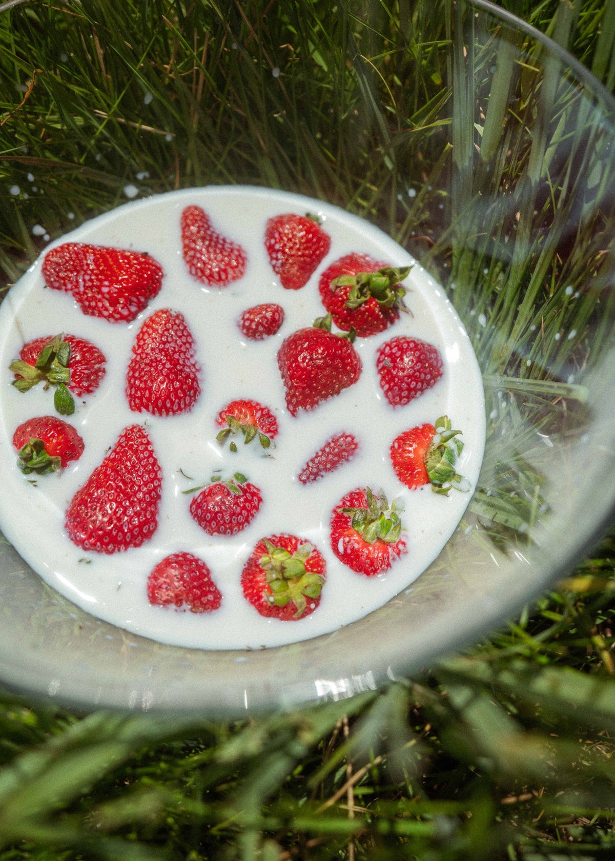 Product Image 9 - Farmer Protein Powder