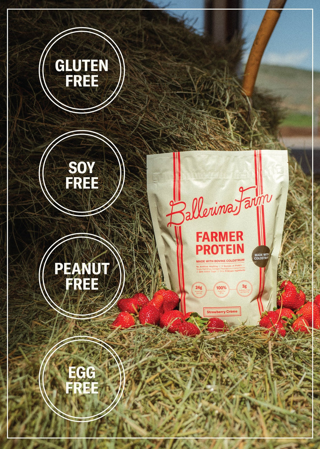 Product Image 15 - Farmer Protein Powder